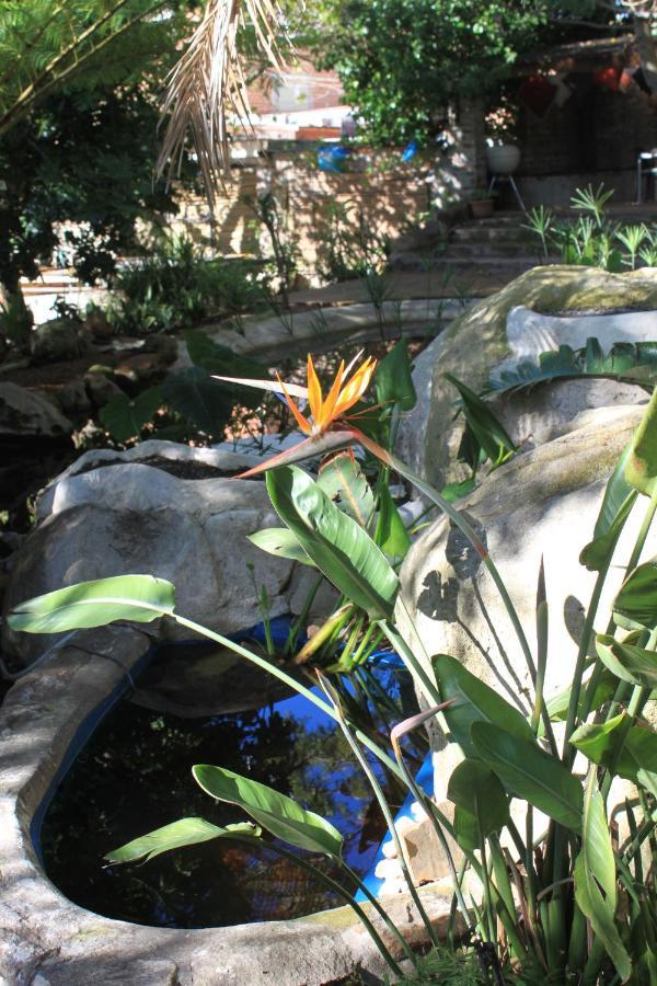 Schuilhoek Garden Terraces - Self Catering *